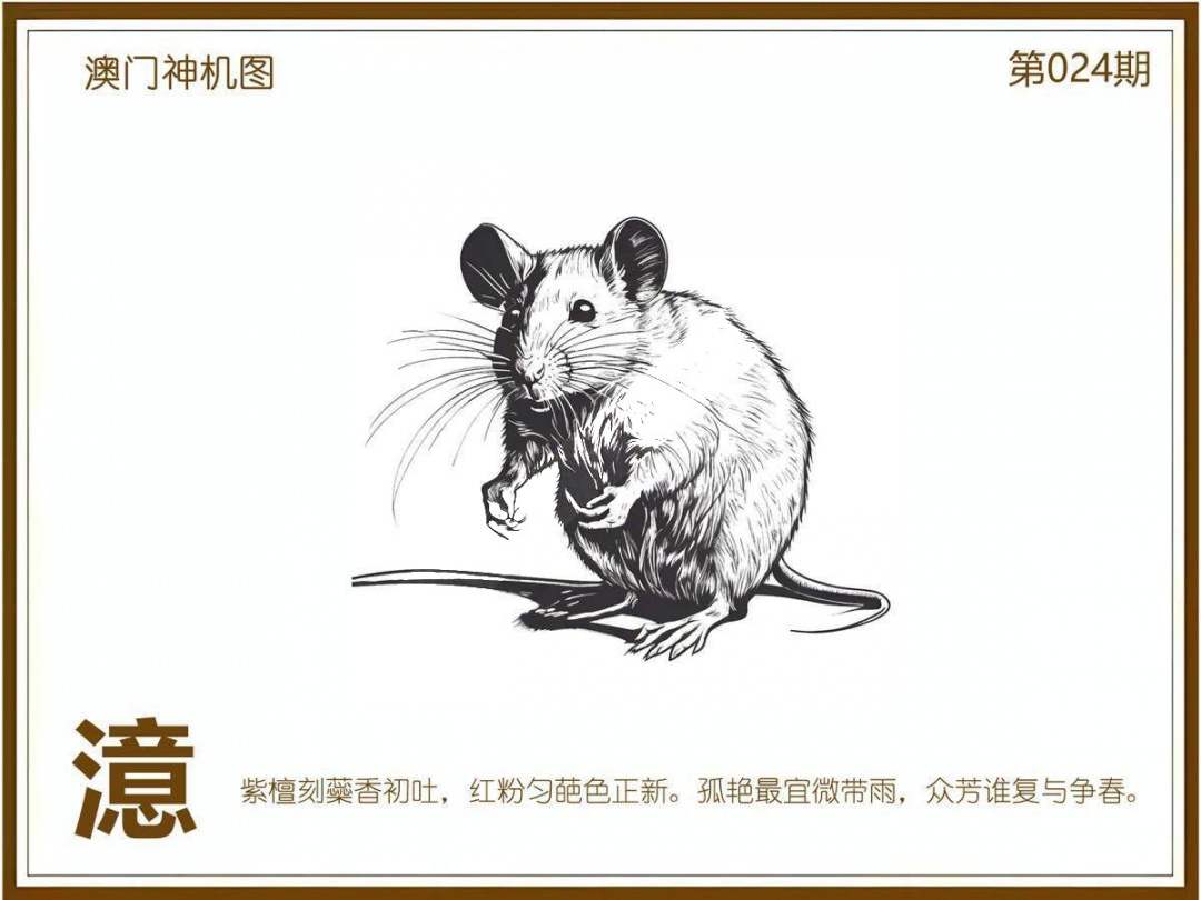 024期澳门神机图[图]